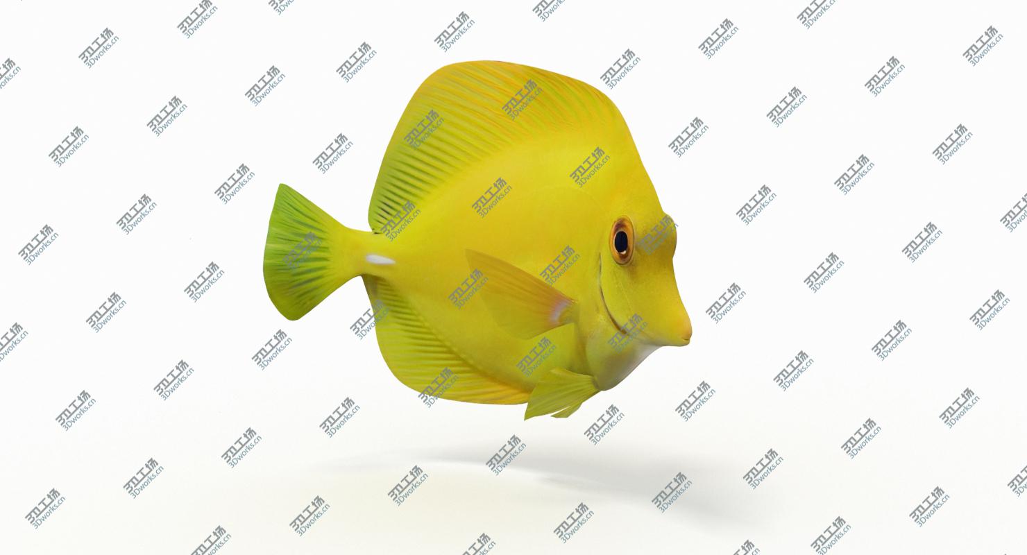 images/goods_img/2021040165/Yellow Tang (Animated) 3D model/4.jpg